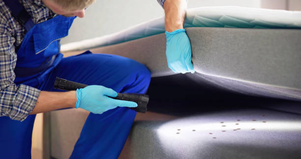 Best Termite Control Services  in Union Hall, VA