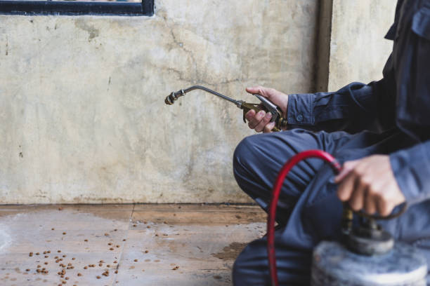 Professional Pest Control in Union Hall, VA